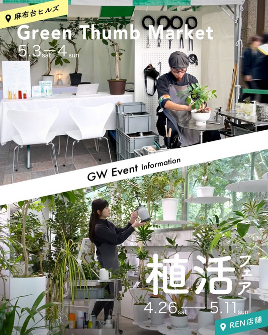 RENが麻布台ヒルズとREN店舗でGWイベントを開催、植物ケア相談と特注器の販売で植物ライフを提案