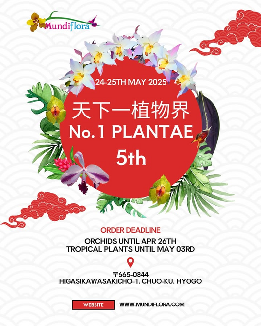 BBB実行委員会が天下一植物界 No.1 PLANTAE 5thを開催、植物の深い魅力を伝える総合イベントが神戸に集結