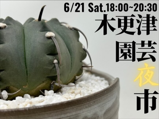 木更津園芸夜市が2025年6月21日に開催決定、夜の雰囲気の中でリーズナブルな植物販売を実施