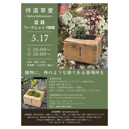 侍道草愛が足場板古材を活用したカジュアル盆栽ワークショップを高知市で開催、植物と人の新しい関係性を提案