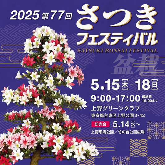 日本皐月協会が2025さつきフェスティバルを開催、上野恩賜公園で花と盆栽の美しさを展示