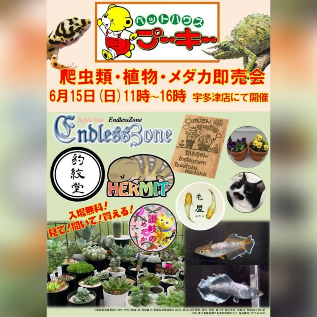 香川県宇多津町で爬虫類植物メダカのコラボ即売会開催、多ジャンルの 香川県宇多津町で爬虫類植物メダカのコラボ即売会開催、多ジャンルの