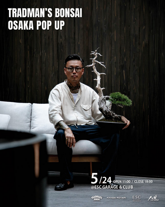 TRADMAN'S BONSAIが大阪で2日間連続イベント開催、POP-UPとワークショップで盆栽文化を多角的に発信