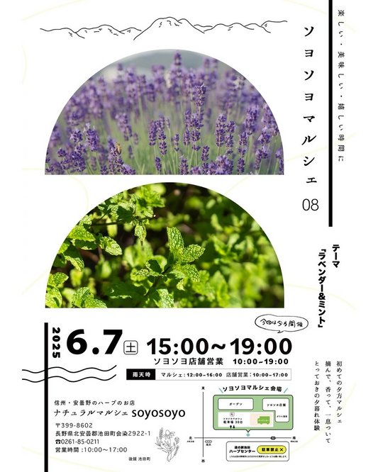 ナチュラルマルシェsoyosoyoがソヨソヨマルシェ08開催を発表、夕暮れラベンダー園で摘み取り体験を19時まで延長
