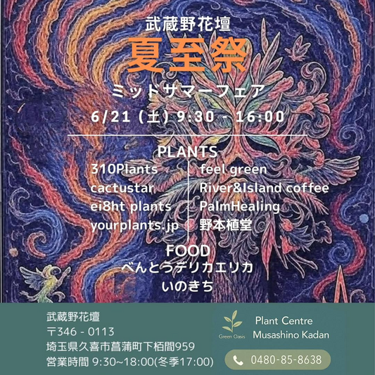 武蔵野花壇が夏至祭ミッドサマーフェアを6月21日開催、サボテンからケープバルブまで8つの植物専門店が久喜市に集結