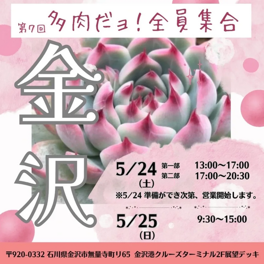 第7回多肉だヨ全員集合が金沢クルーズターミナルで5月24日・25日開催、たいしん多肉が北陸初出店でワークショップ展開