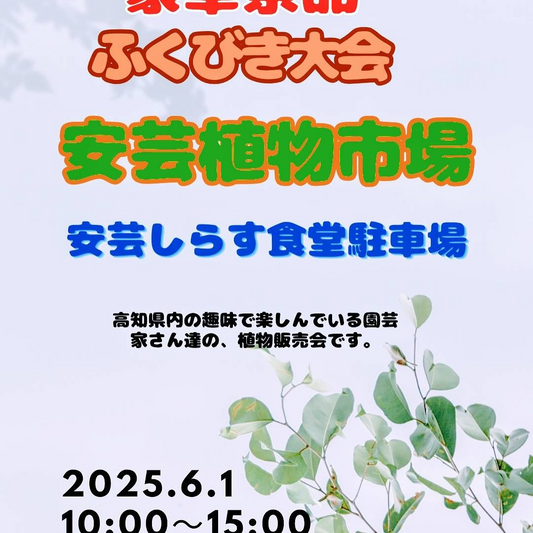 安芸植物市場が高知県安芸市で6月1日急遽開催、趣味園芸家による植物販売会に福引大会も実施