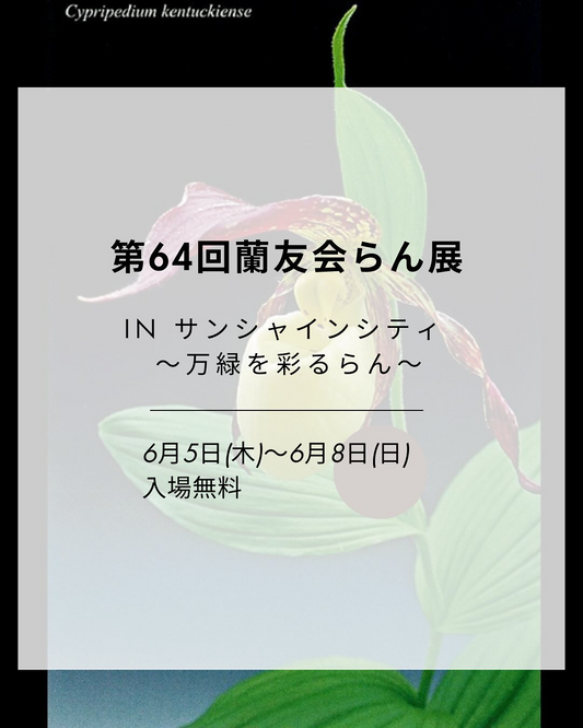 第64回らん展サンシャインシティが池袋で6月5日から8日開催、万緑を彩るらんをテーマとした洋らんの世界を展示