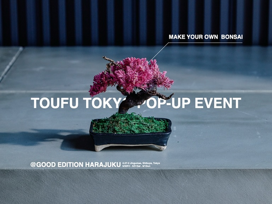 TOUFU TOKYOがGOOD EDITION原宿でRE BONSAIワークショップを開催、枯れた盆栽のアップサイクル体験を5月30日から提供