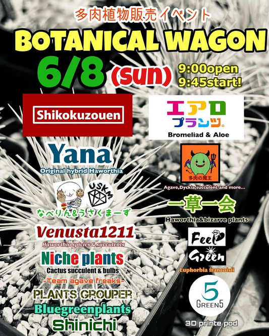 四国造園がBOTANICAL WAGON多肉植物販売イベントを開催、13の専門出店者によるマルシェスタイル販売会を6月8日実施