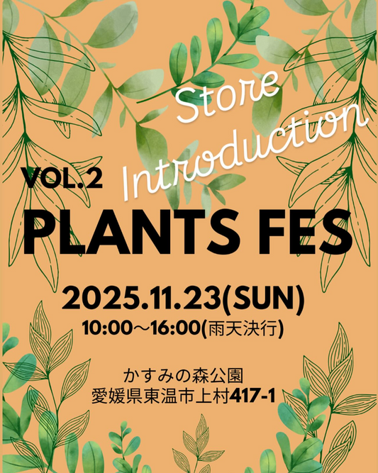 PLANTS FES vol.2が11月23日に愛媛県東温市かすみの森公園で開催、県内外50店舗以上が集結