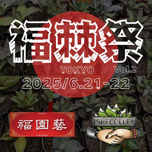 福棘祭vol.2が東京都品川区で開催、福園藝とISHECOLLE2社によるアガベオンリーイベントで300株展示