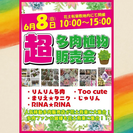 花土有楽で超多肉植物販売会を6月8日開催、5つの人気Instagramアカウントが群馬県伊勢崎市に集結