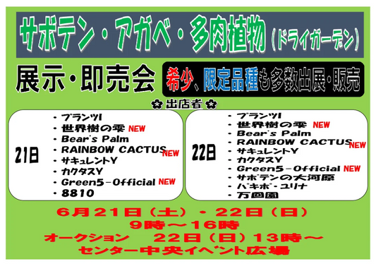 みのり花木センターがサボテン・アガベ・多肉植物展示即売会開催、希少限定品種とオークションで充実の2日間