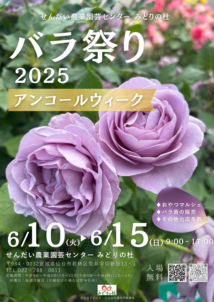 バラ祭り2025アンコールウィークがせんだい農業園芸センターで開催決定、バラ祭り市とババヘラアイス販売を実施