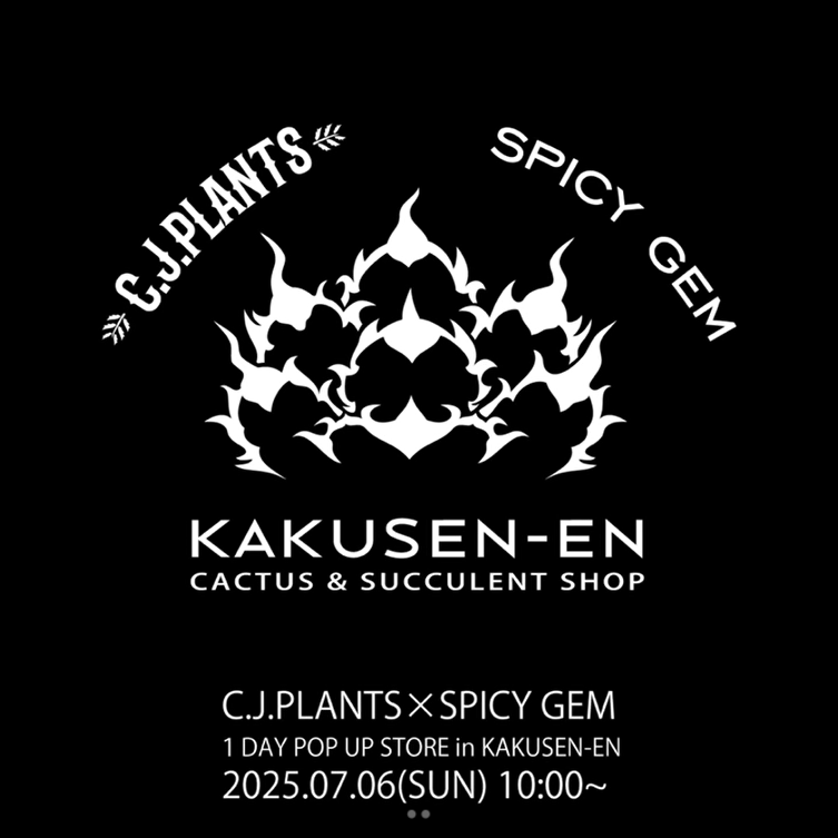C.J.PLANTSとSPICY GEMが鶴仙園池袋店で7月6日にコラボPOP-UP開催、台湾アガベナーセリーオーナーが店頭に登場
