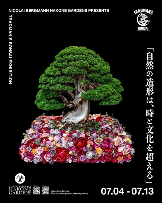 ニコライ バーグマン 箱根 ガーデンズとTRADMAN'S BONSAIが共同展示会開催、7月に自然の造形美を融合した10日間の企画