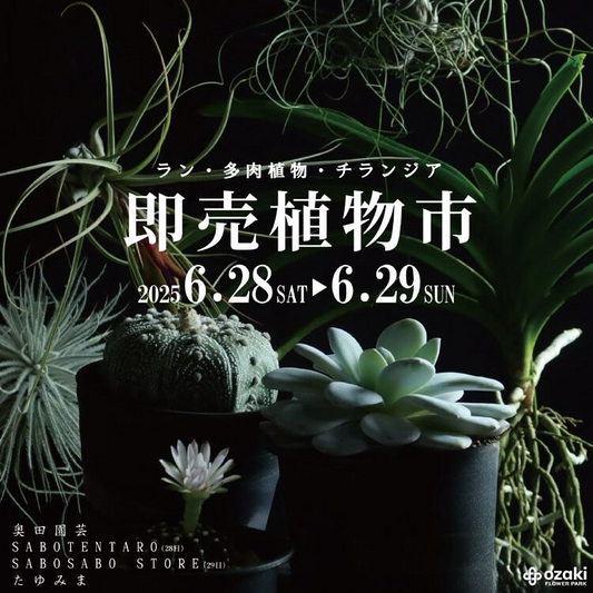 オザキフラワーパークが珍奇植物即売会を開催、SABOSABO STOREなど専門店が東京都練馬区に集結