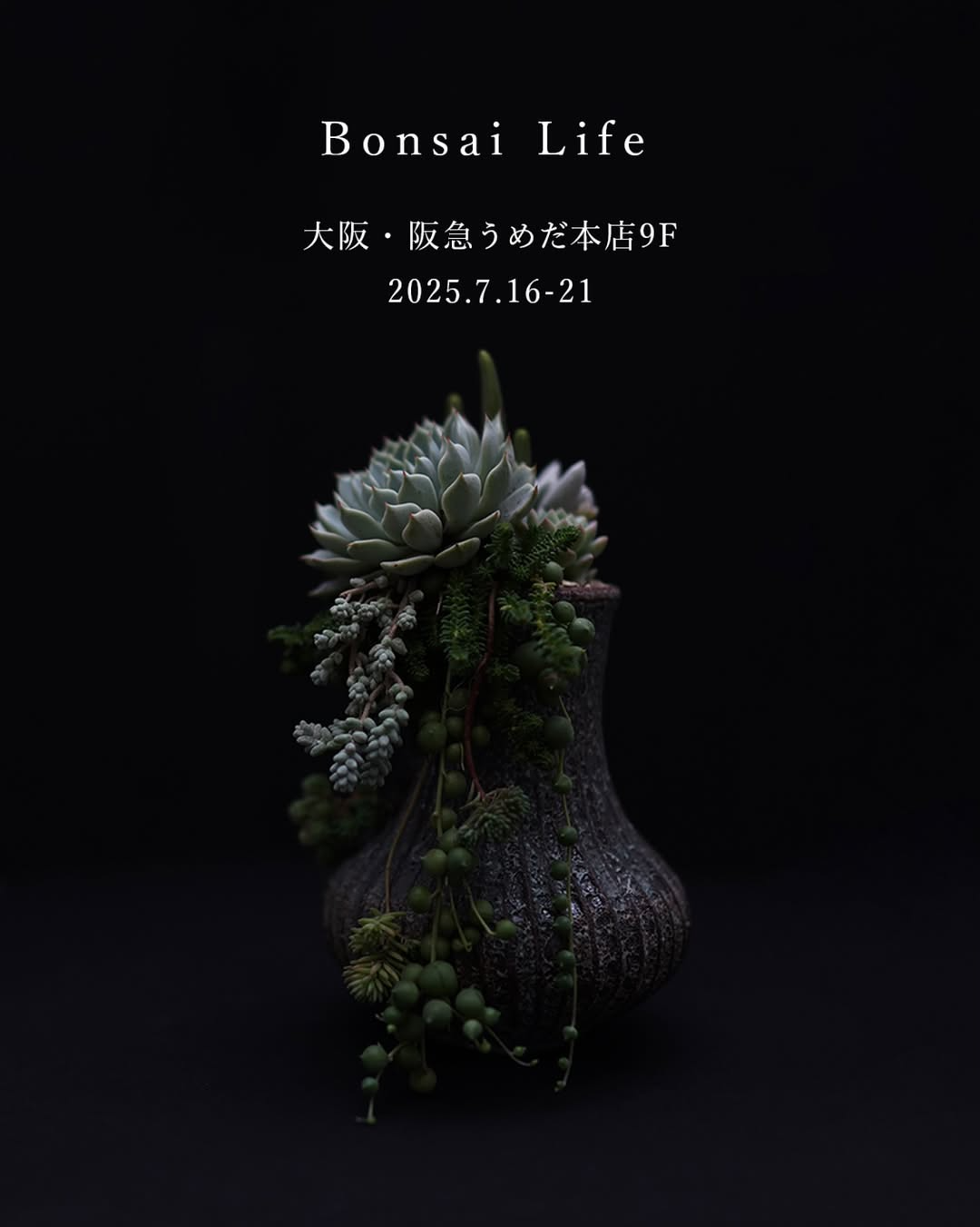 Bonsai Lifeが阪急うめだ本店9階催場で7月16日開催、国内有数のテラリウムクリエイターが集結