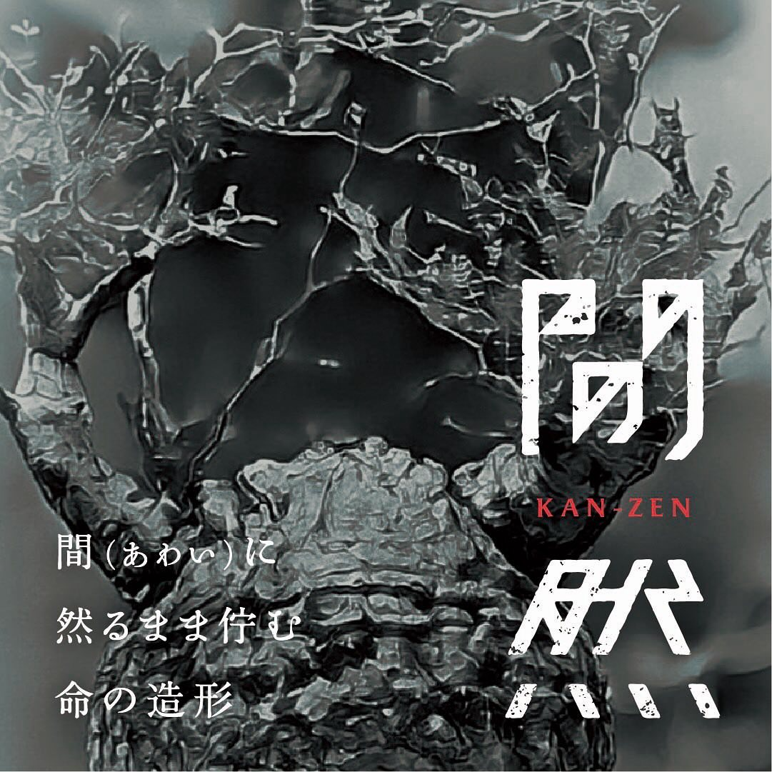 間然KAN-ZENが愛知県名古屋市中区で2025年7月5日開催、塊根植物と三州みやび鉢の美の邂逅