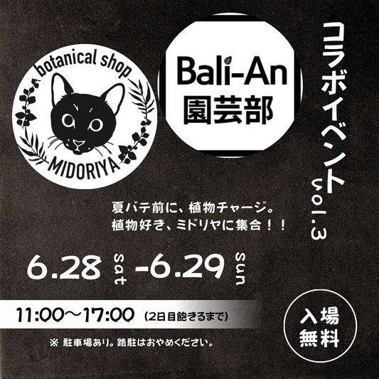 BALI-ANがミドリヤ店舗で6月28日・29日に合同植物イベント開催、船橋市で3回目のコラボレーション