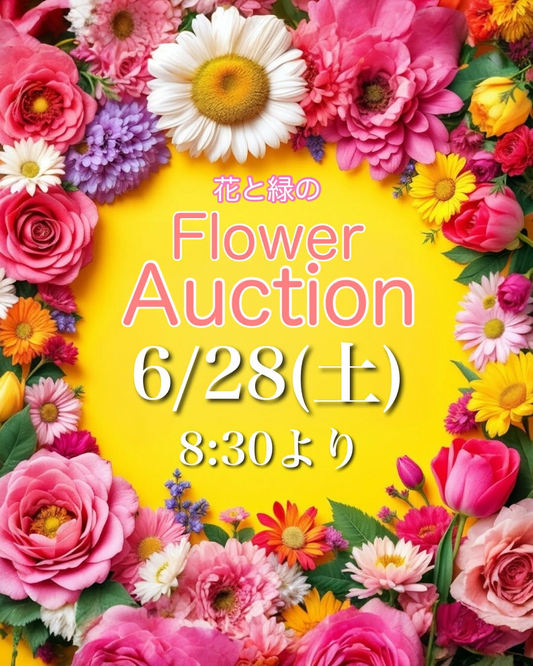 FUKUOKA EFFECTが花と緑のフラワーオークションを開催、6月28日に店舗北側駐車場で参加型植物イベント実施