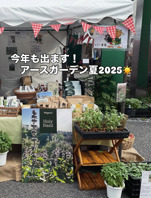 代々木公園でアースガーデン夏ヨルイチ2025開催、ホーリーバジル蒸留水とオリジナルアクセサリーが7月4日から販売