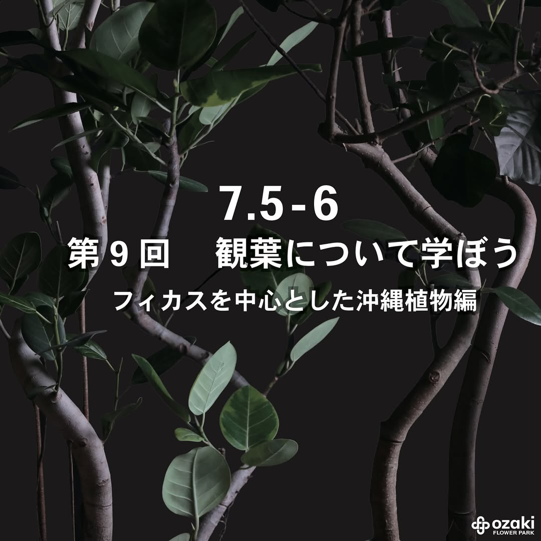 オザキフラワーパークが第9回観葉について学ぼうを開催、フィカスを中心とした沖縄植物の知識が学べる無料ワークショップ
