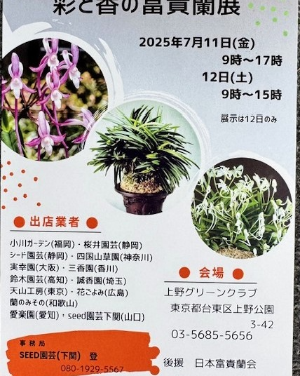 日本富貴蘭会が彩と香の富貴蘭展示即売会を開催、全国の専門業者約13社が出店し開花時期の美しさを堪能