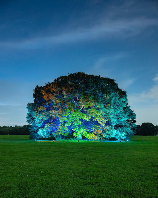 昭和記念公園が夏の特別夜間開園ほしぞら散歩を開催、8月9日から11日まで21時まで延長しライトアップや花火を実施
