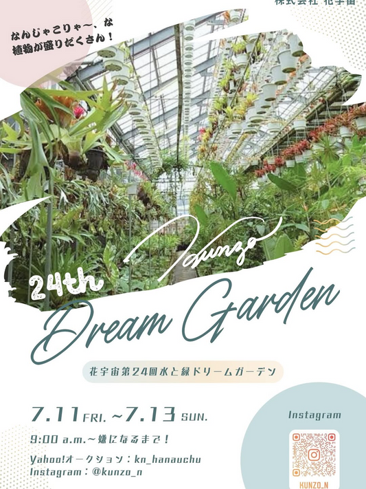 花宇宙が第24回水と緑ドリームガーデンを開催、モンステラ祭りとレア植物の販売で植物愛好家が注目