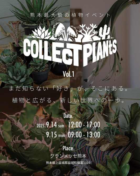 Collect Plants Vol.1が九州最大級の希少植物展示販売イベントとして開催、グランメッセ熊本で80組が出展