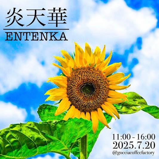 GOCCIA plants factoryが炎天華イベントを開催、兵庫県佐用町で9店舗が塊根植物や多肉植物を販売