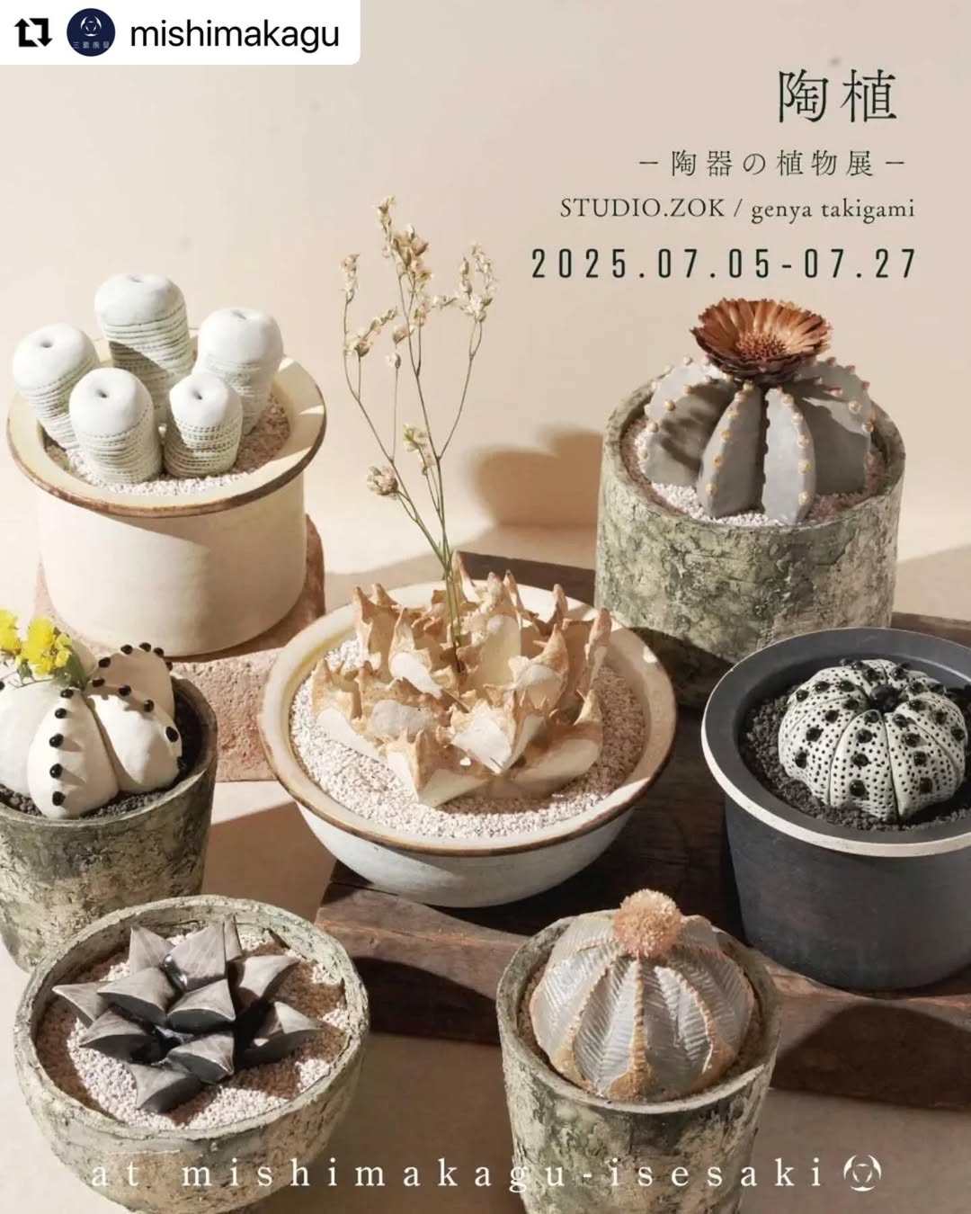 STUDIO.ZOKが三島家具伊勢崎本店で陶植POP-UPを開催、陶器の植物展で STUDIO.ZOKが三島家具伊勢崎本店で陶植POP-UPを開催、陶器の植物展で