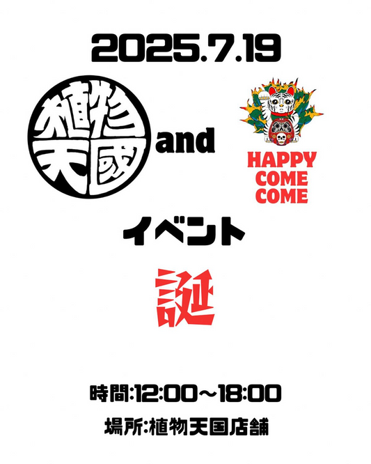 植物天國とHappy come comeがコラボイベントを7月19日開催、熊本市中央区繊維問屋街で数量限定New item販売