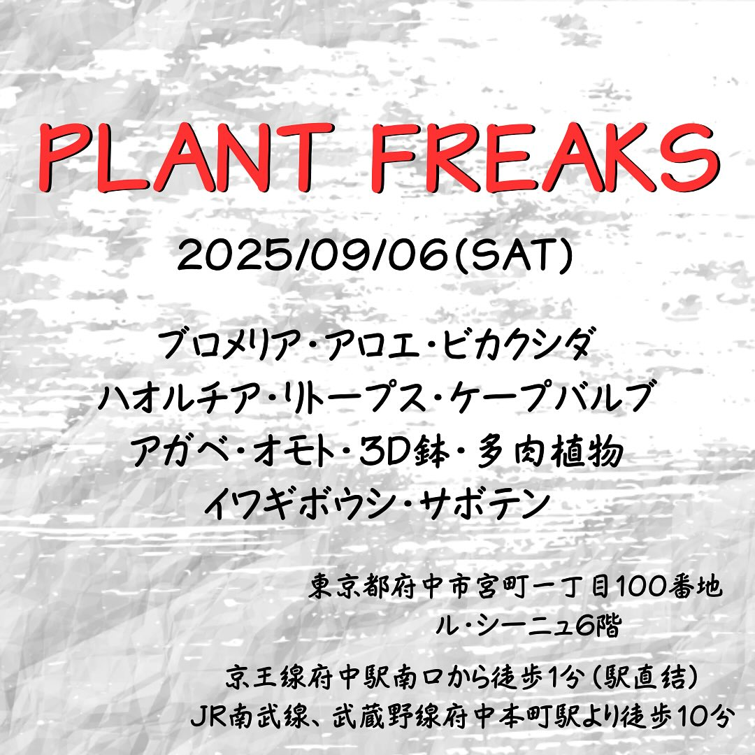 Plants Freaks 2025が府中ル・シーニュで開催、珍奇植物の大規模即売会に9店舗が出展