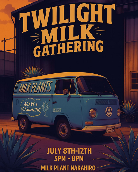 中広アジトがTWILIGHT MILK GATHERING開催、アガベ中心の夕方限定植物イベントで幅広いサポートを提供