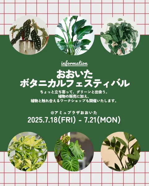 アミュプラザおおいたでおおいたボタニカルフェスティバル開催、観葉植物ワークショップで夏の思い出作りと初心者向け体験を提供