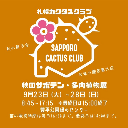 札幌カクタスクラブが秋のサボテン多肉植物展を開催、コノフィツムの花が咲く季節に豊平公園緑のセンターで展示販売を実施