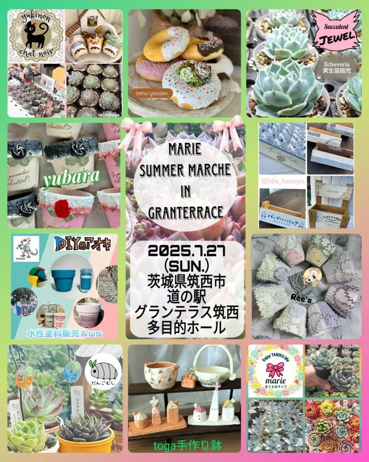 marie summer marche in Granterraceが茨城県筑西市で2025年7月開催、道の駅グランテラス筑西にエケベリア中心の10組出店者集結