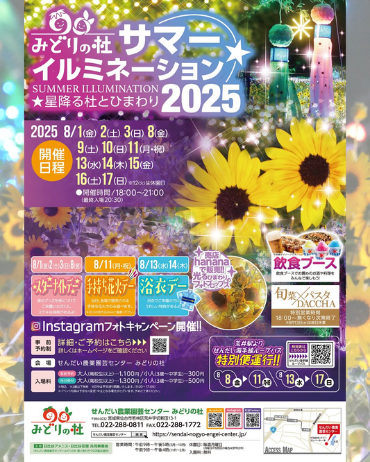 せんだい農業園芸センターがサマーイルミネーション2025を8月開催、ひまわり畑のライトアップと七夕飾りで光と花のコラボレーション