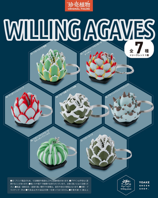 Willing plantがREBORN DAYイベントを開催、YOAKE GREENとのコラボでWILLING AGAVESガチャをリリース
