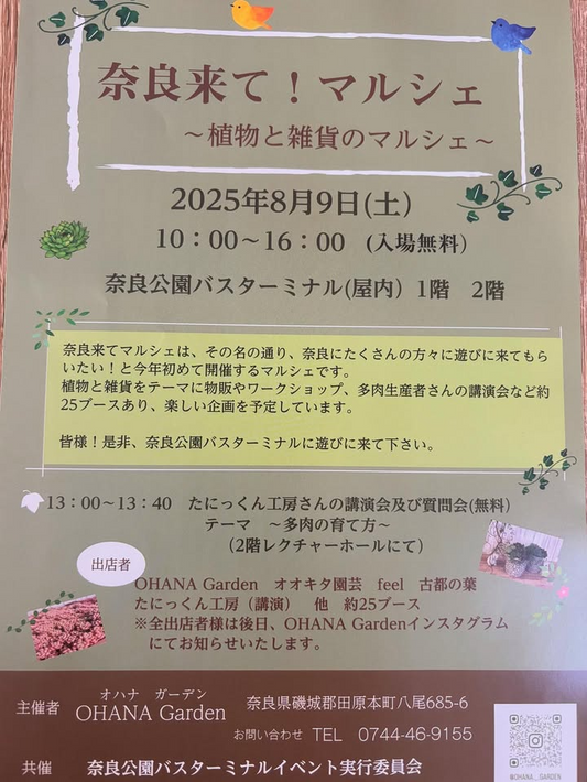 オハナガーデンが奈良来てマルシェを奈良公園バスターミナルで開催、植物と雑貨の約25ブースが集結