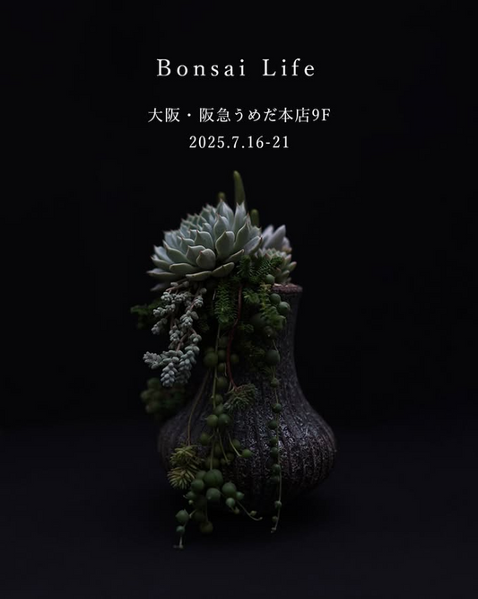 Bonsai LifeがFee The Garden主催で阪急うめだ本店に開催、テラリウムクリエイター12組が出展