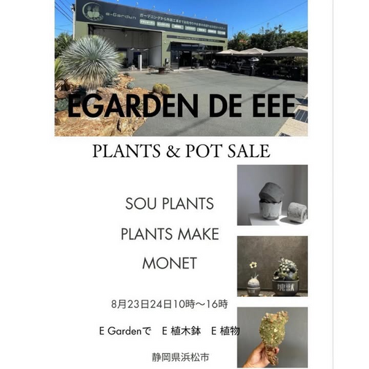 e-GardenがEGARDEN DE EEE PLANTS&POT SALEを静岡県浜松市で開催、作家鉢と植物の即売会を実施