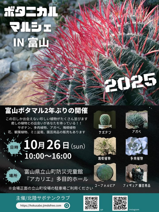北陸サボテンクラブがボタニカルマルシェ2025富山を開催、富山県立山町の新施設アカリエで25店舗が出店