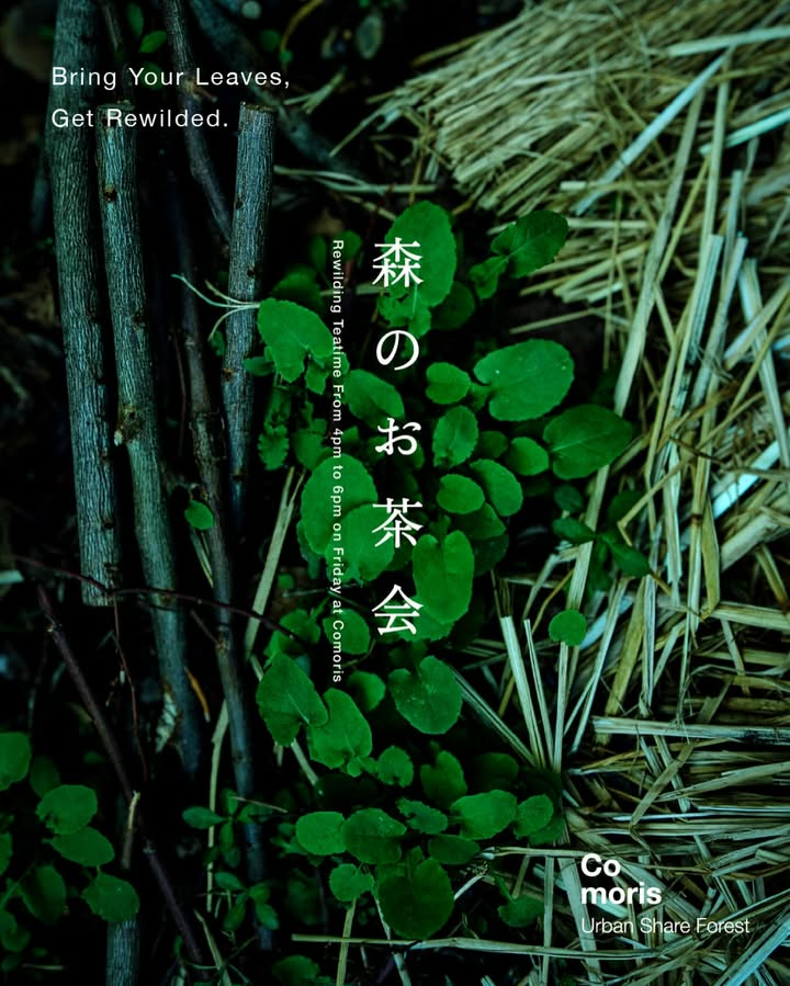 森のお茶会が毎週金曜日に開催中、野草を活用した持ち寄り型イベントで自然との繋がりを体験