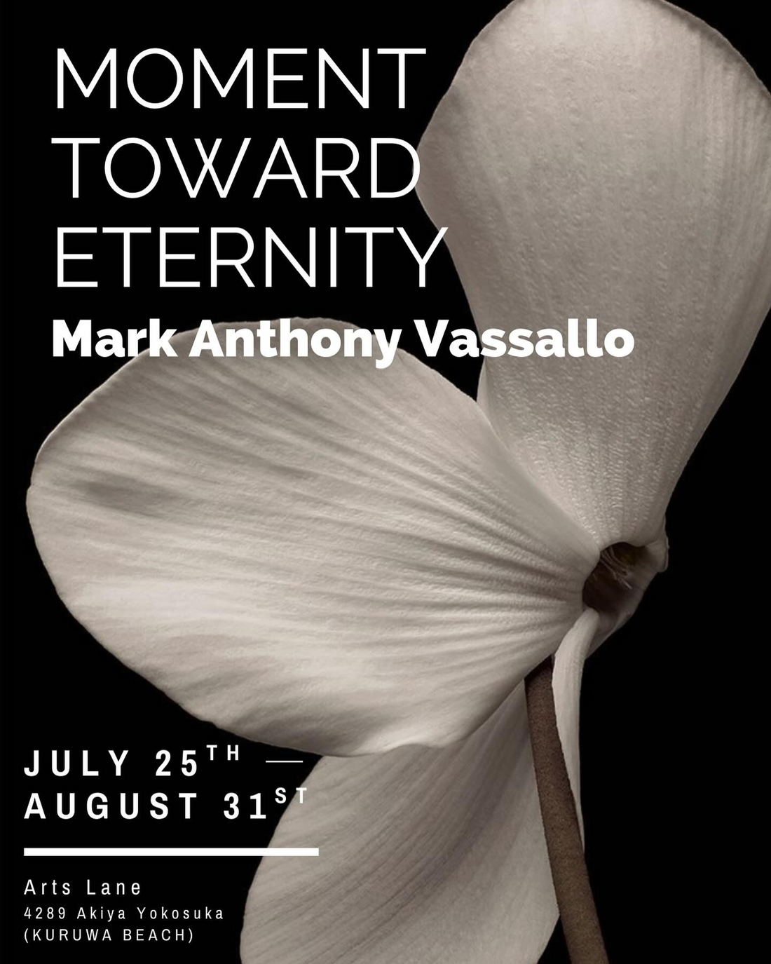 Mark Anthony Vassallo個展"Moment Toward Eternity"がArts Laneで開催、プラチナプリント技法による花の写真作品を展示