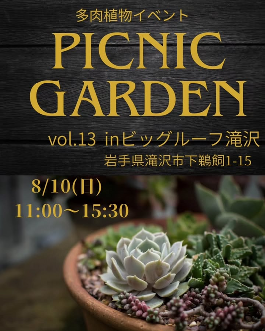 キングプランツがピクニックガーデンvol.13を8月10日開催、ビッグルーフ滝沢で10店舗による多肉植物物販を実施