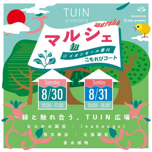 TUIN greeneryがTUIN greenery マルシェin イオンモール豊川を8月30日開催、こもれびコートで5つの生産者による観葉植物マルシェを実施
